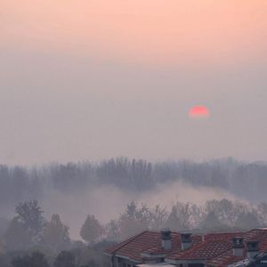 免费看毛片网址
