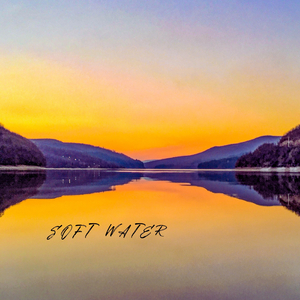 免费看毛片网址
